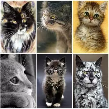 DIY 5D алмазная живопись животное полная круглая кошка Алмазная вышивка крестиком искусство горный хрусталь мозаика украшение дома подарок Full Round 20x30CM