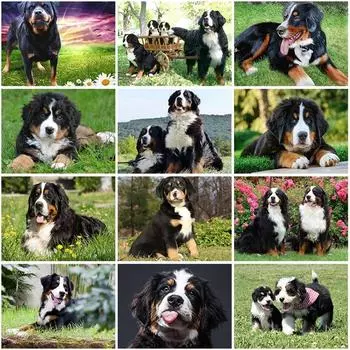 DIY 5D алмазная живопись животное полная квадратная/круглая Алмазная вышивка картина стразы мозаика собака вышивка крестиком домашний декор подарок Full Round 15x20CM