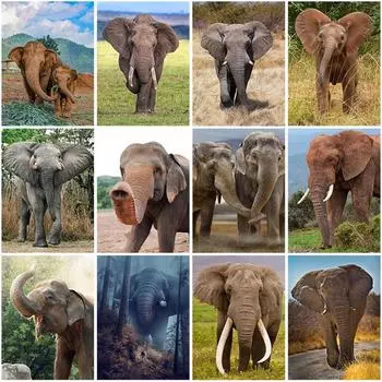 DIY 5D алмазная живопись животные слон вышивка крестиком комплект полная круглая дрель мозаика настенное искусство подарок из смолы домашний декор Full Round 20x30CM