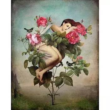 DIY 5D Алмазная картина Женщина с цветком Алмазная вышивка 20X30CM