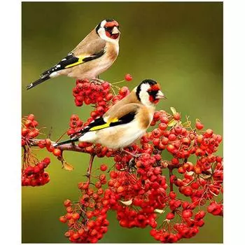 DIY 5D Алмазная картина Алмазная вышивка Цветы Вышивка крестом 20X30CM