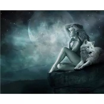 DIY 5D Diamond сексуальные женщины и волк любовь живопись наборы для вышивки крестом для украшения дома стразы Full Round 20x25CM