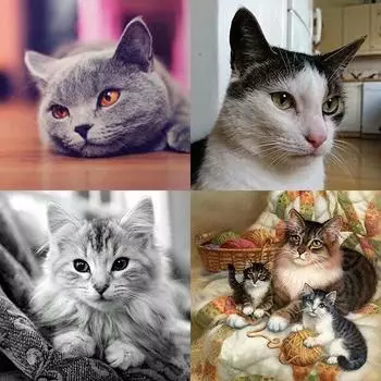 DIY 5D круглая алмазная картина кошка вышивка крестиком домашний декор Full Round 20x20CM