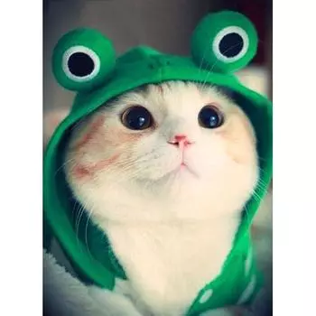 DIY 5D Мозаика Ручная Алмазная Картина Вышивка Крестом Алмазная Вышивка Кошка Алмазная Художественная Живопись Full Square (20X30CM)