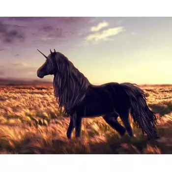 DIY 5D Мозаика Ручная Алмазная Картина Вышивка Крестом Алмазная Вышивка Черный Единорог Алмазная Живопись Full Square (20X30CM)