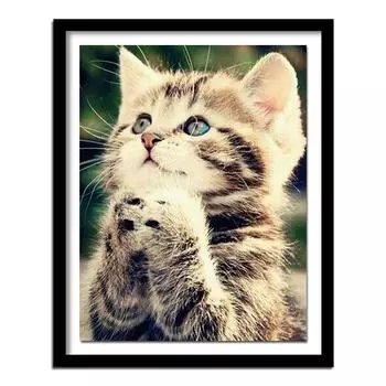 DIY 5D Непослушный котенок Алмазная картина Вышивка крестиком Кошки Комплект Алмазная вышивка Животное Алмаз 20X30CM