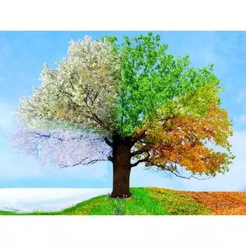 DIY 5D полная алмазная картина вышивка крестом 4 сезона дерево Алмазная вышивка рукоделие 20X30CM