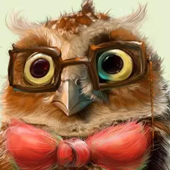 DIY 5D полная алмазная картина вышивка крестом сова Алмазная вышивка рукоделие 30X30CM