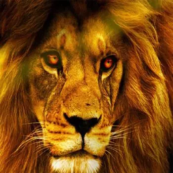 DIY 5D Полная Алмазная Вышивка Лев Мать Малыш Алмазная Картина Маслом Крестом 30X30CM