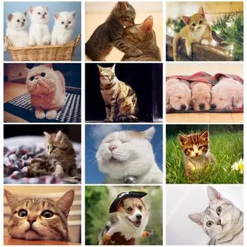 DIY Алмазная картина 5D Животное Полный круглый Алмазная мозаика Кошка Вышивка Украшение дома Распродажа 20X30CM красный