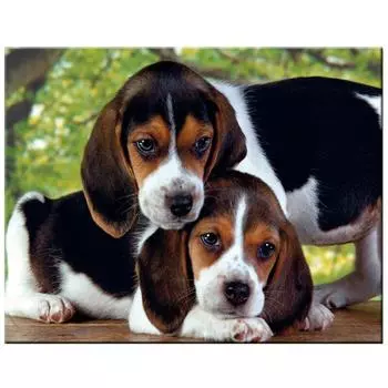 Diy Алмазная картина Американский фоксхаунд Полный круглый мозаичный декор Вышивка Крестом 20X30CM