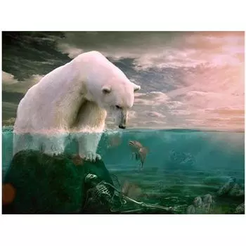 Diy Алмазная картина Белый медведь и рыба Алмазная вышивка Крестом Стразы Украшение дома 20X30CM