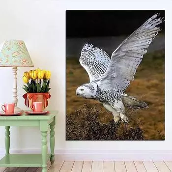 Diy Алмазная картина Цвет Сова 5d Алмазная вышивка Животное Вышивка крестом Рукоделие Домашний декор 20X30CM