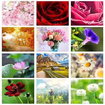 DIY Алмазная картина Цветочный пейзаж Полный дрель Круглая алмазная вышивка 5D Вышивка крестом Украшение дома 20X30CM красный