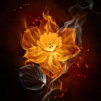 DIY Алмазная картина Цветок Огонь из стразов Вышивка крестиком Полный круглый алмаз Вышивка Картинки 30x30CM