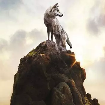 DIY Алмазная картина Король волков подняться на вершину Животное Алмазная вышивка Крестом Украшение дома 30X30CM