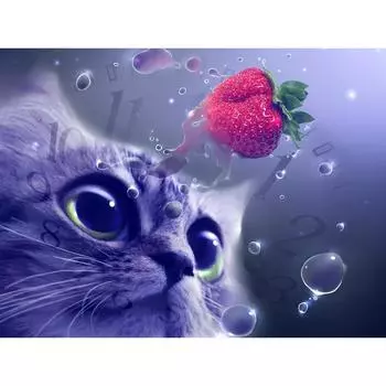 DIY Алмазная картина Кошка ест клубнику Алмазная вышивка Мозаика Вышивка крестом Горный хрусталь Декор 20X30CM