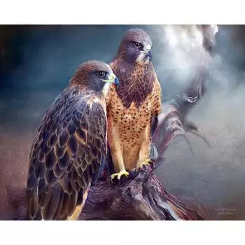 Сделай сам Алмазная картина Вышивка крестом Пейзаж Смола Алмазная вышивка Алмазная мозаика Рукоделие Тигр 20X30CM