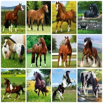 DIY Алмазная картина Лошадь Полная квадратная/круглая вышивка Мозаика Животное Новые поступления Домашний декор Full Round 20x30CM