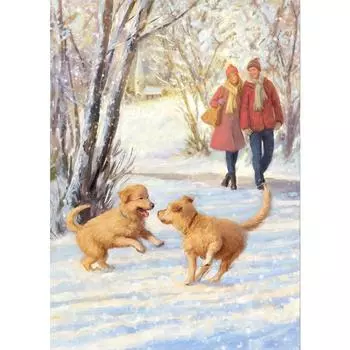 Diy Алмазная картина Пейзаж ручной работы Подарок Мозаика Цветок мака Вышивка крестиком Наклейка на стену Full Round 20X30CM