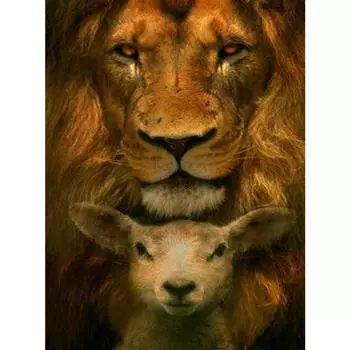 Diy Алмазная картина Полная дрель Квадратная вышивка крестом Картина Алмазная вышивка Мозаика Украшение Full Round 20X30CM