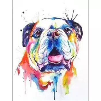 DIY Алмазная картина Собака Животное Алмазная вышивка Горный хрусталь Картина 5d Алмазная мозаика 20X30CM