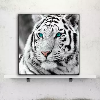 DIY Алмазная картина Тигр Набор для вышивки крестом Мозаика Искусство Алмазная картина Полный круг/Квадратный алмаз Украшение дома Round 25x25cm