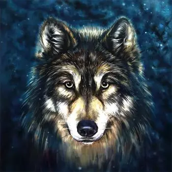 Diy Алмазная картина Волк Алмазная вышивка Европа Домашнее украшение 30x30CM
