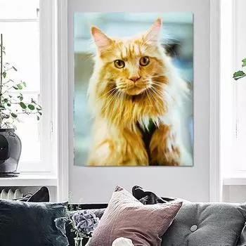Diy Алмазная картина Вышивка крестом Пейзаж Смола Алмазная вышивка Алмазная мозаика Рукоделие Кошка 20X30CM