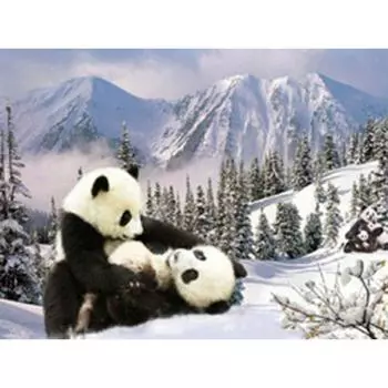 Diy Алмазная картина Животное Китай Гигантская Панда Вышивка крестом Полный стразы Инкрустация Алмазная вышивка 20X30CM