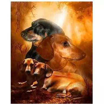 Diy Алмазная картина Животные Фотографии Вышивка крестиком Полная Алмазная вышивка Украшение дома 20X30CM