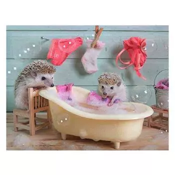 DIY Алмазная картина Животные Купание Ежик Домашний декор 3D Вышивка крестиком Алмазная вышивка 20X30CM