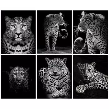 DIY Алмазная картина Животные Вышивка крестиком Полный круглый дрель Алмазная вышивка Продажа Домашний Декор Подарок Full Round 20x25CM