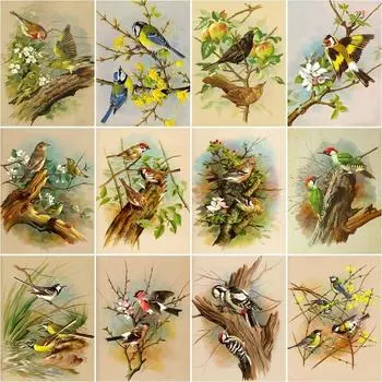 DIY Алмазная картина Животные Вышивка крестом Ремесло Полная круглая дрель Алмазная вышивка Искусство Домашнее украшение Full Round 20x25CM