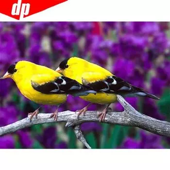 DIY Алмазная мозаика животное птица полная круглая дрель алмазная живопись вышивка продажа горный хрусталь изображение 20X30