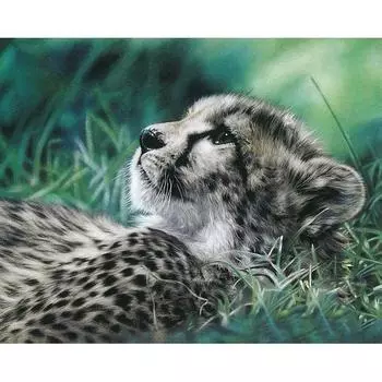 DIY Алмазная Мозаика Животное Снежный Барс Рукоделие Полный Круглый Алмазная Картина Вышивка Крестом 20X30CM