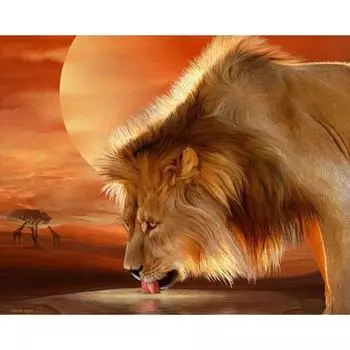 DIY Алмазная вышивка 5D Алмазная картина Мозаика Вышивка крестом 20X30CM