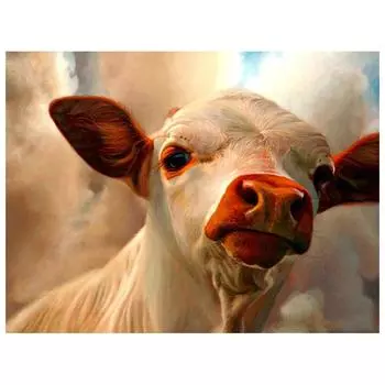 DIY Алмазная вышивка Алмазная картина Алмазная мозаика Вышивка крестом Единорог и фея 20X30CM