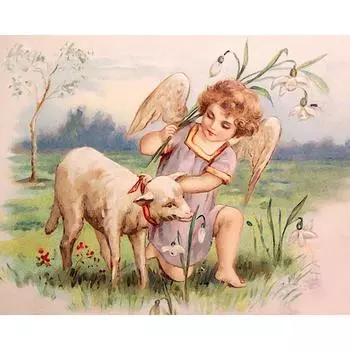 DIY Алмазная вышивка Ангел и собака Полный круглый алмаз картина вышивка крестом