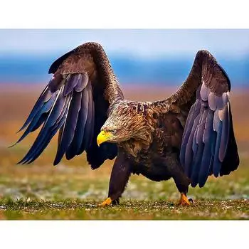 DIY Алмазная вышивка Ангелы и Демоны Алмазная картина Вышивка крестом Стразы Мозаика Украшение 20X30CM