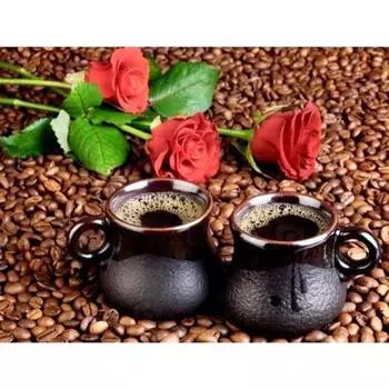 DIY Алмазная вышивка Кофейные зерна красные розы Алмазная картина Вышивка крестом 20X30CM