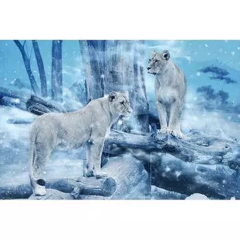 DIY Алмазная вышивка Леопарды Полный круглый алмаз картина вышивка крестом 20X30CM