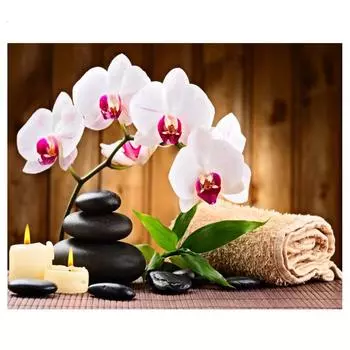 DIY Алмазная вышивка Орхидея Камень Квадратный узор Горный хрусталь Наборы Алмазная картина Вышивка крестом 20*30 cm