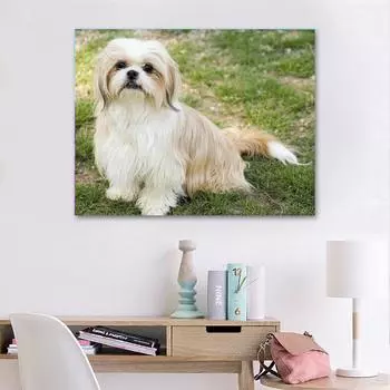 DIY Алмазная вышивка Ши-тцу Собака 5d Полный круглый дрель Алмазная картина 20X30CM