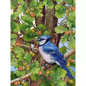 DIY Алмазная вышивка Синяя птица Полный круглый алмазная живопись Набор для вышивки крестом Мозаика Домашний декор 20X30CM