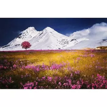 DIY Алмазная вышивка Снежная гора Полный круглый алмаз картина вышивка крестом 20X30CM