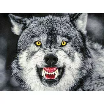 DIY Алмазная вышивка животных волк вышивка крестом Мозаика Алмазная картина домашний декор подарок 20X30CM