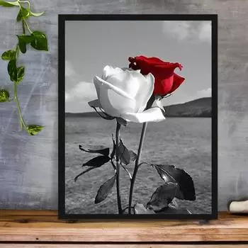DIY алмазная живопись красные и белые розы набор для вышивки крестом мозаика искусство алмазная живопись полный круг/квадратный алмаз украшение дома Round 20x30cm