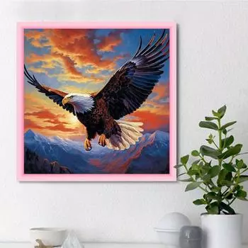 DIY алмазная живопись парящий орел комплект для вышивки крестом мозаика искусство алмазная живопись полный круг/квадратный алмаз украшение дома Round 25x25cm
