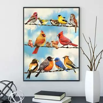 DIY алмазная живопись птицы всех цветов набор для вышивки крестом мозаика искусство алмазная живопись полный круг/квадратный алмаз украшение дома Round 20x30cm